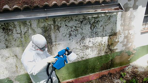 Trusted Mold Testing service in Geneva, WA - Cheap Mold Removal